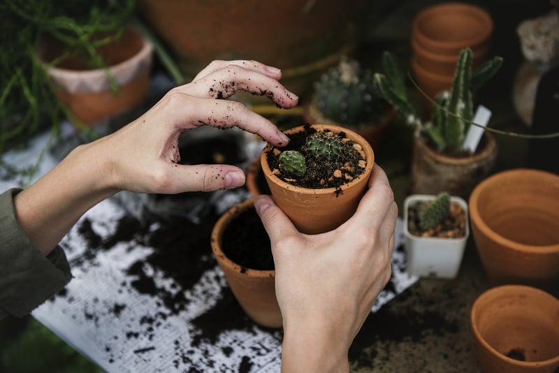 Urban gardening