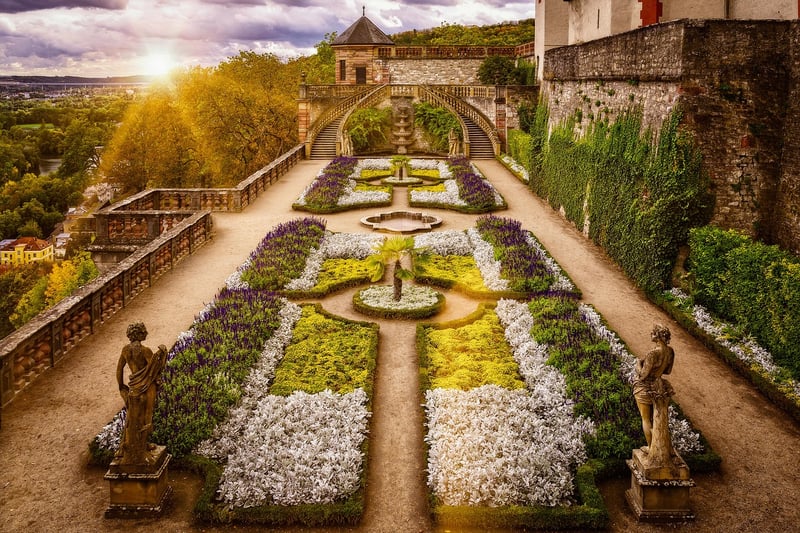 Garden with healthy plants